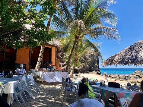 𝗧𝗛𝗘 𝟭𝟬 𝗕𝗘𝗦𝗧 Hotels in Apo Island of Jul 2024 (with Prices).
